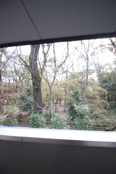 物件内観写真16　(室内からの展望)