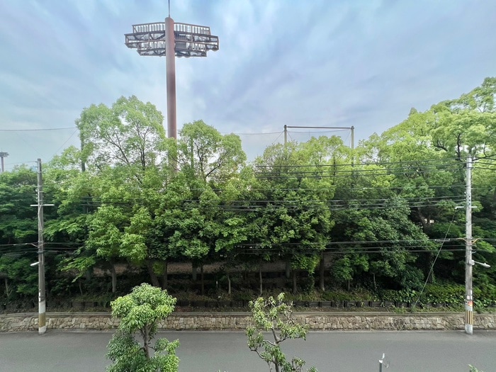 物件内観写真21　(室内からの展望)