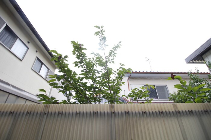 物件内観写真22　(室内からの展望)