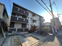 ６月のパール