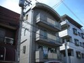 ＡＮＮＥＸ　ＷＡＫＩ