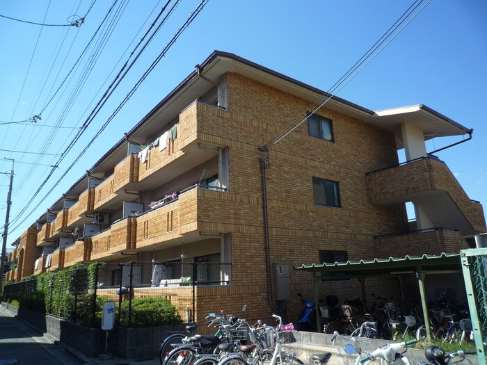 物件外観写真3　(駐輪場)