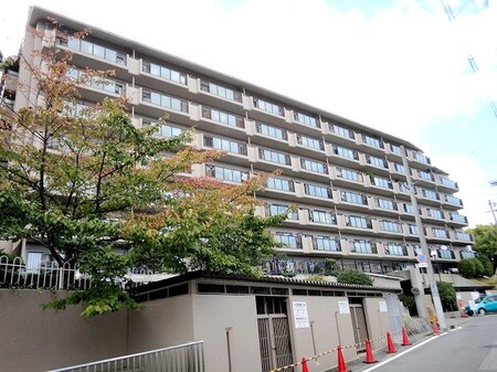 ｻﾝｳﾞｪｰﾙ千里緑地公園（908）外観写真