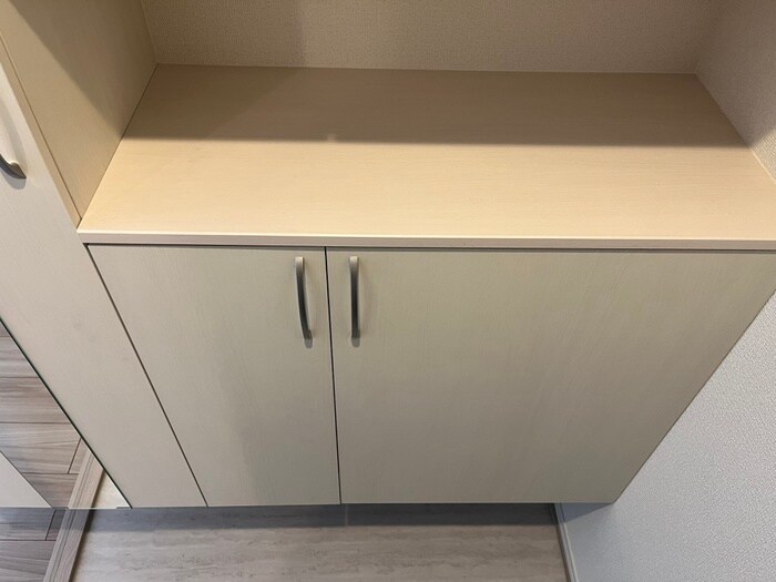 物件内観写真17　(靴箱)