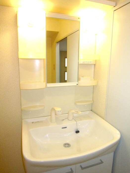 ロイヤルハイツ土佐堀の洗面