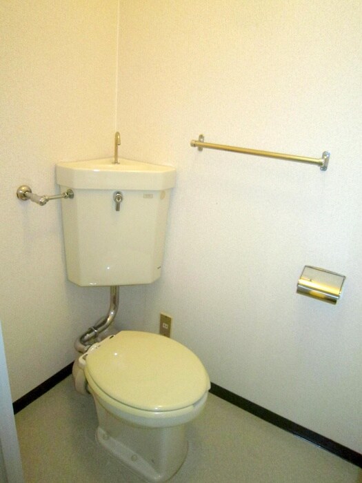 ロイヤルハイツ土佐堀のトイレ