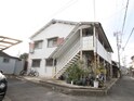 高尾文化