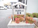 フレグランス土生