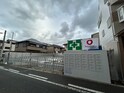 トリシア針中野