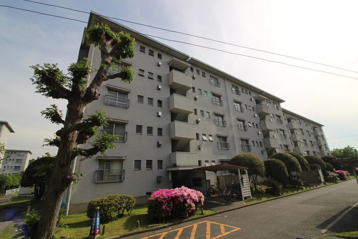 浅香山住宅１９号棟(402)の物件外観写真