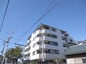 ｻﾝﾗｲｽﾞﾏﾝｼｮﾝﾄﾞﾑｽ諏訪森(103)