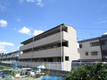 チェリ－コ－トの外観写真