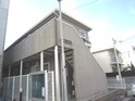 ｻｶｴﾊｲﾂ