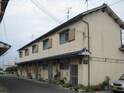 橘文化