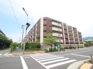 藤和ﾗｲﾌﾞﾀｳﾝ芦屋呉川町ﾙﾐﾅﾝｽ外観写真