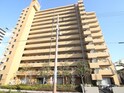 ﾗｲｵﾝｽﾞﾏﾝｼｮﾝ住吉万代東(1006)