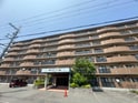 クレモナ山手