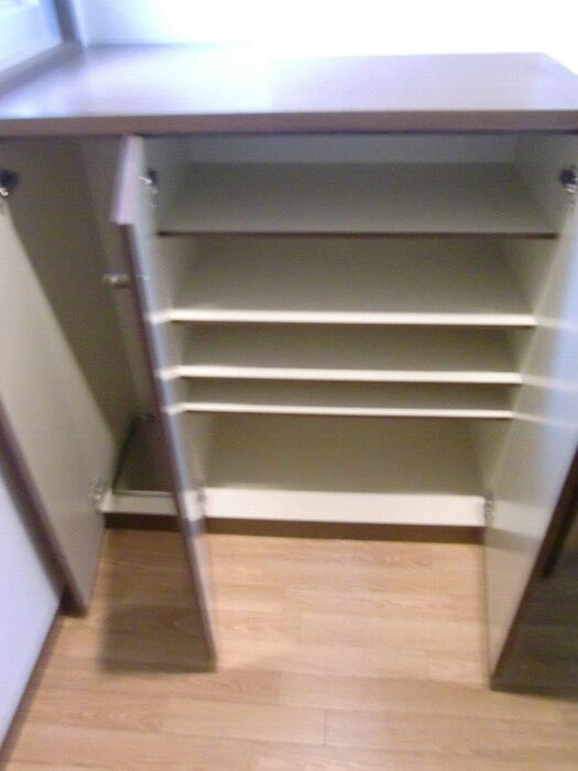 物件内観写真15　(靴箱)