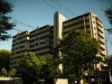ジオ緑地公園一番館(907)