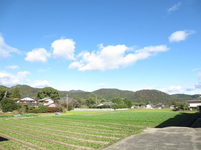 物件外観写真6　(周辺環境)