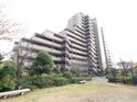 ﾗｲｵﾝｽﾞﾏﾝｼｮﾝ千代田１番館(1007)