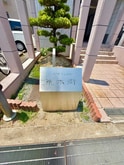 クロスロウズ荒木街
