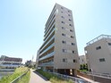 ラウロ相川リーヴァ（602）