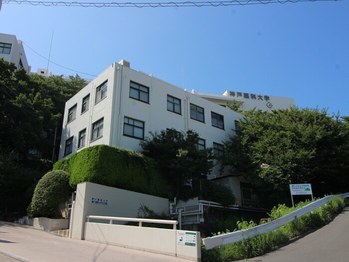 神戸薬科大学