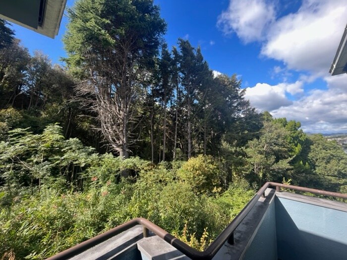 物件内観写真12　(室内からの展望)