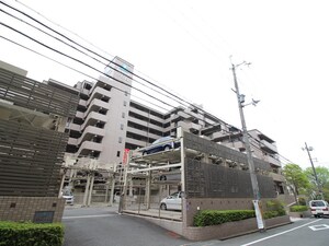 サ－パス樟葉(503)外観写真
