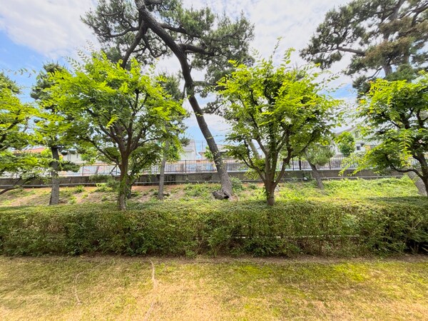 室内からの展望