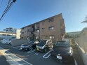 LAZO terrace
