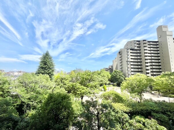 室内からの展望
