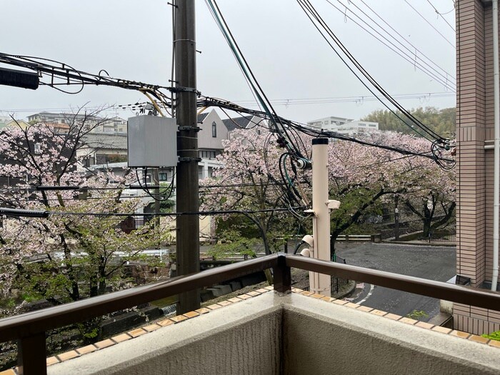 物件内観写真18　(室内からの展望)