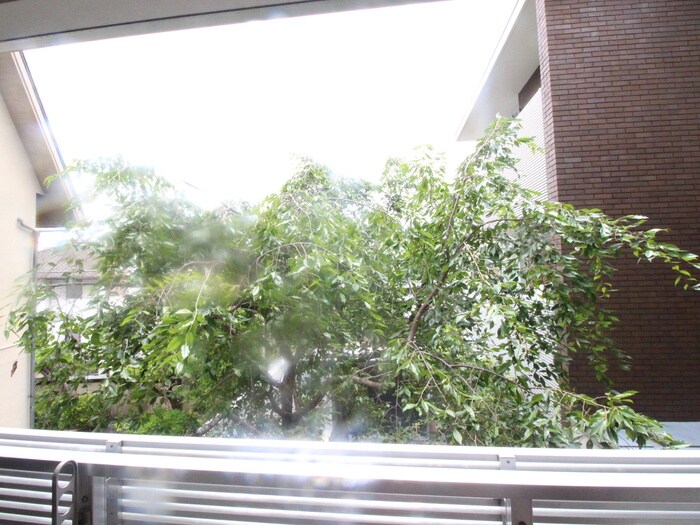 物件内観写真21　(室内からの展望)