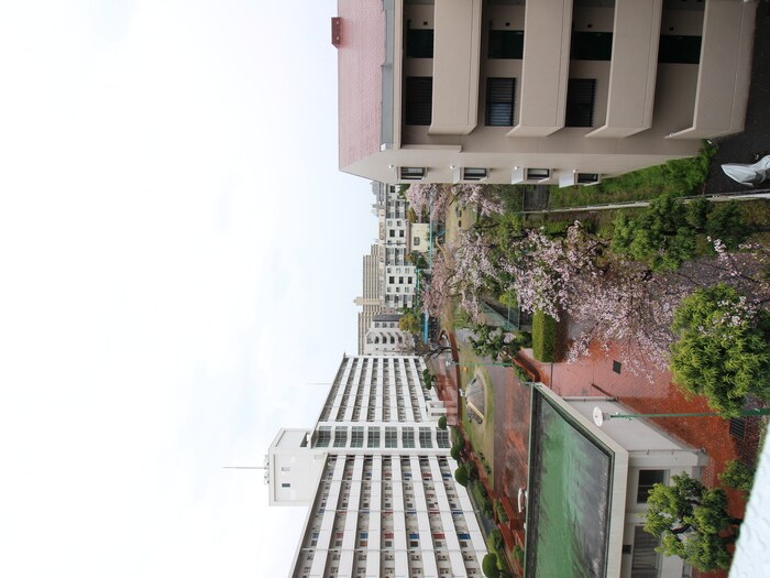 物件内観写真17　(室内からの展望)