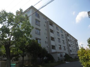 男山第３住宅204棟（202）外観写真