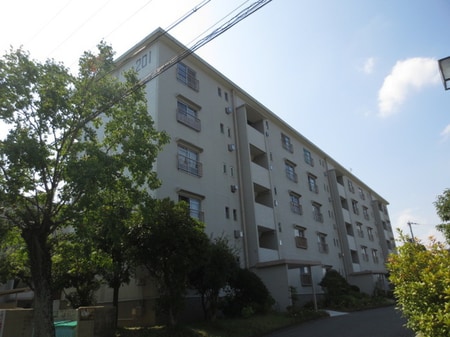 男山第３住宅204棟（202）外観写真