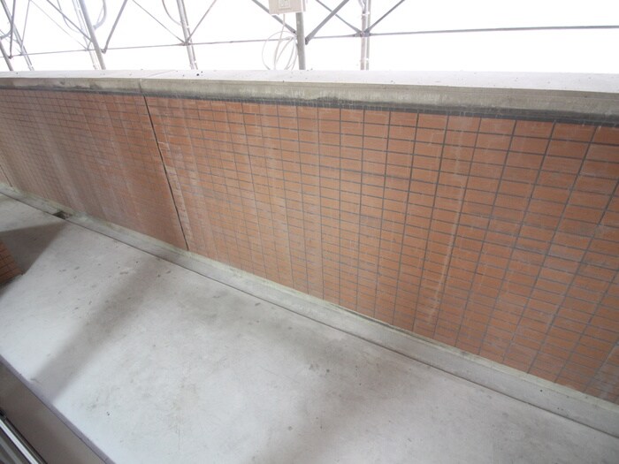 物件内観写真18　(靴箱)