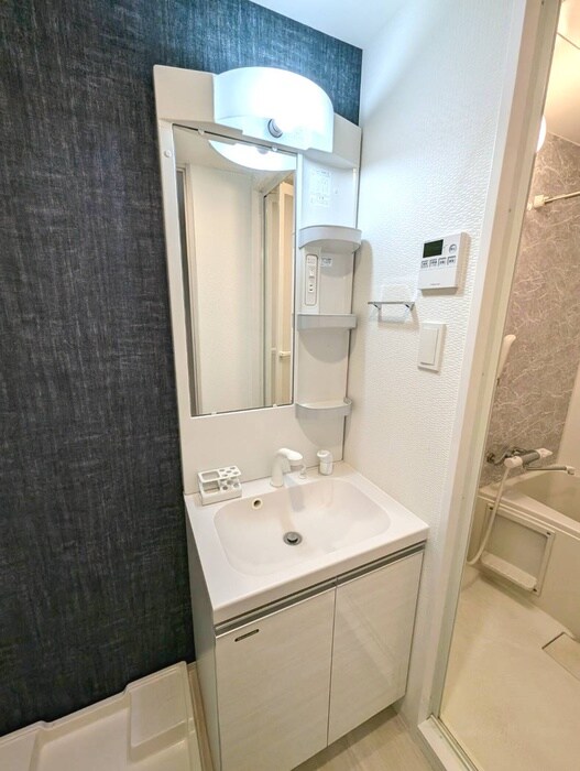 物件内観写真10　(洗面)