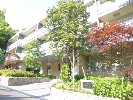 メゾンセルサス御影(313)外観写真