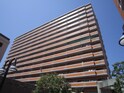 ﾗｲｵﾝｽﾞﾏﾝｼｮﾝ若江東弐番館(102)
