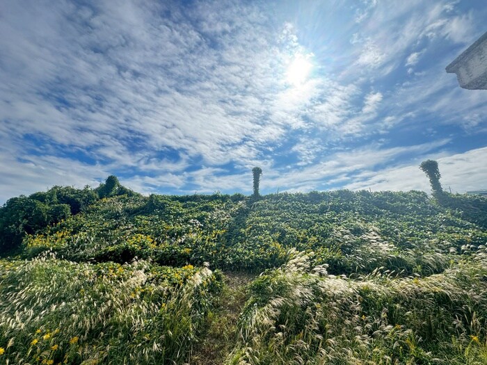 物件内観写真16　(室内からの展望)