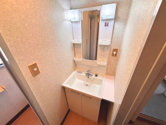 上穂ロイヤルハイツの洗面