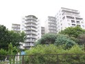 千里緑丘ハウス（513）