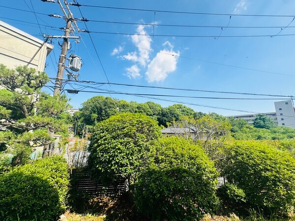 室内からの展望