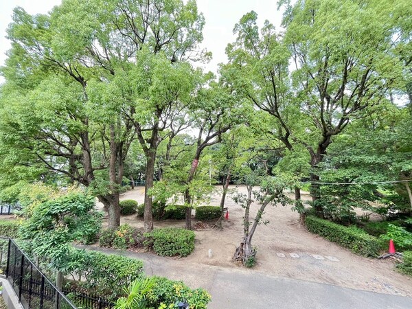 室内からの展望