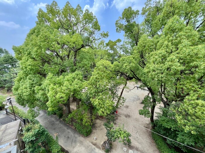 物件内観写真19　(室内からの展望)