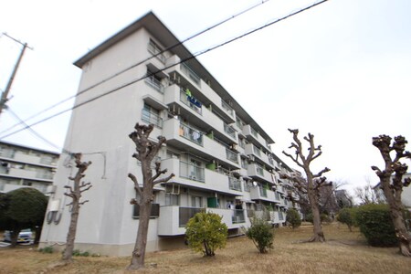 浅香山住宅21棟（204）外観写真