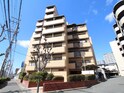 コア・シンプル